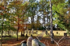 Kleine Steine in Gedenken vor dem „Jüdischer Friedhof (Wildeshausen)“..cleaned